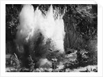 Explosion on the Waikato River by Anonymous