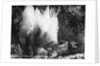 Explosion on the Waikato River by Anonymous