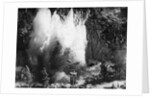Explosion on the Waikato River by Anonymous