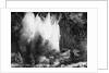 Explosion on the Waikato River by Anonymous