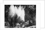 Explosion on the Waikato River by Anonymous