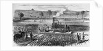 Illustration of Steam Engine Ploughing a Field at Grimsthorpe by Anonymous