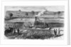 Illustration of Steam Engine Ploughing a Field at Grimsthorpe by Anonymous