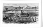 Illustration of Steam Engine Ploughing a Field at Grimsthorpe by Anonymous