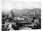 Rooftop View of Pisa by Anonymous