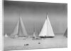 Start of the King's Cup Race by Anonymous