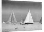 Start of the King's Cup Race by Anonymous