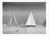 Start of the King's Cup Race by Anonymous