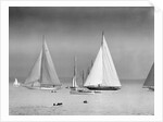 Start of the King's Cup Race by Anonymous