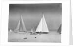 Start of the King's Cup Race by Anonymous