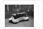 Coffin of David Livingstone by Anonymous
