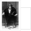 Chimpanzee Dressed in Evening Wear by Anonymous