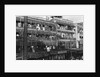 Tenement Facades by Anonymous