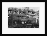 Tenement Facades by Anonymous