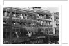 Tenement Facades by Anonymous