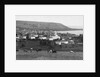 Samsun, Turkey by Anonymous