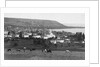 Samsun, Turkey by Anonymous
