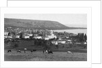 Samsun, Turkey by Anonymous