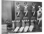 Scandale Corsets by Anonymous