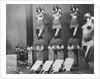Scandale Corsets by Anonymous
