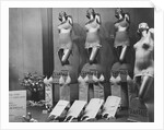 Scandale Corsets by Anonymous