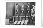Scandale Corsets by Anonymous