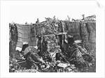 Cannons on Crimean Battlefield, 1855 by Anonymous