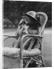 Dog Wearing Air Raid Prevention Warden's Helmet by Corbis