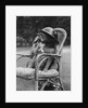 Dog Wearing Air Raid Prevention Warden's Helmet by Corbis