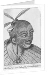 Engraving of a Maori Chieftain by Anonymous