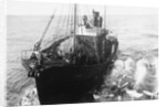 Whaling Ship in Antarctica by Anonymous