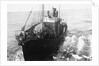 Whaling Ship in Antarctica by Anonymous