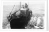 Whaling Ship in Antarctica by Anonymous