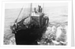 Whaling Ship in Antarctica by Anonymous