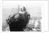 Whaling Ship in Antarctica by Anonymous