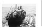 Whaling Ship in Antarctica by Anonymous