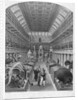 Hunterian Museum, Royal College Of Surgeons. by Anonymous