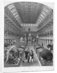 Hunterian Museum, Royal College Of Surgeons. by Anonymous