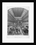Hunterian Museum, Royal College Of Surgeons. by Anonymous