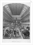 Hunterian Museum, Royal College Of Surgeons. by Anonymous