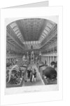 Hunterian Museum, Royal College Of Surgeons. by Anonymous