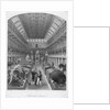 Hunterian Museum, Royal College Of Surgeons. by Anonymous