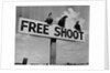 Grouse on "Free Shoot" Sign by Anonymous