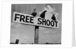 Grouse on "Free Shoot" Sign by Anonymous
