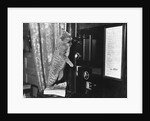 Cat on the Phone by Anonymous