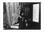 Cat on the Phone by Anonymous