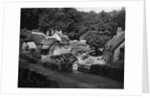 Thatched Cottages in Buckland-in-the Moor by Anonymous