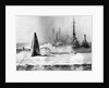 As Raised Squalus Plunged Back To Depths by Anonymous