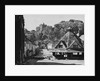 Sheep in Street, Dunster by Anonymous