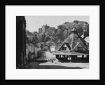 Sheep in Street, Dunster by Anonymous